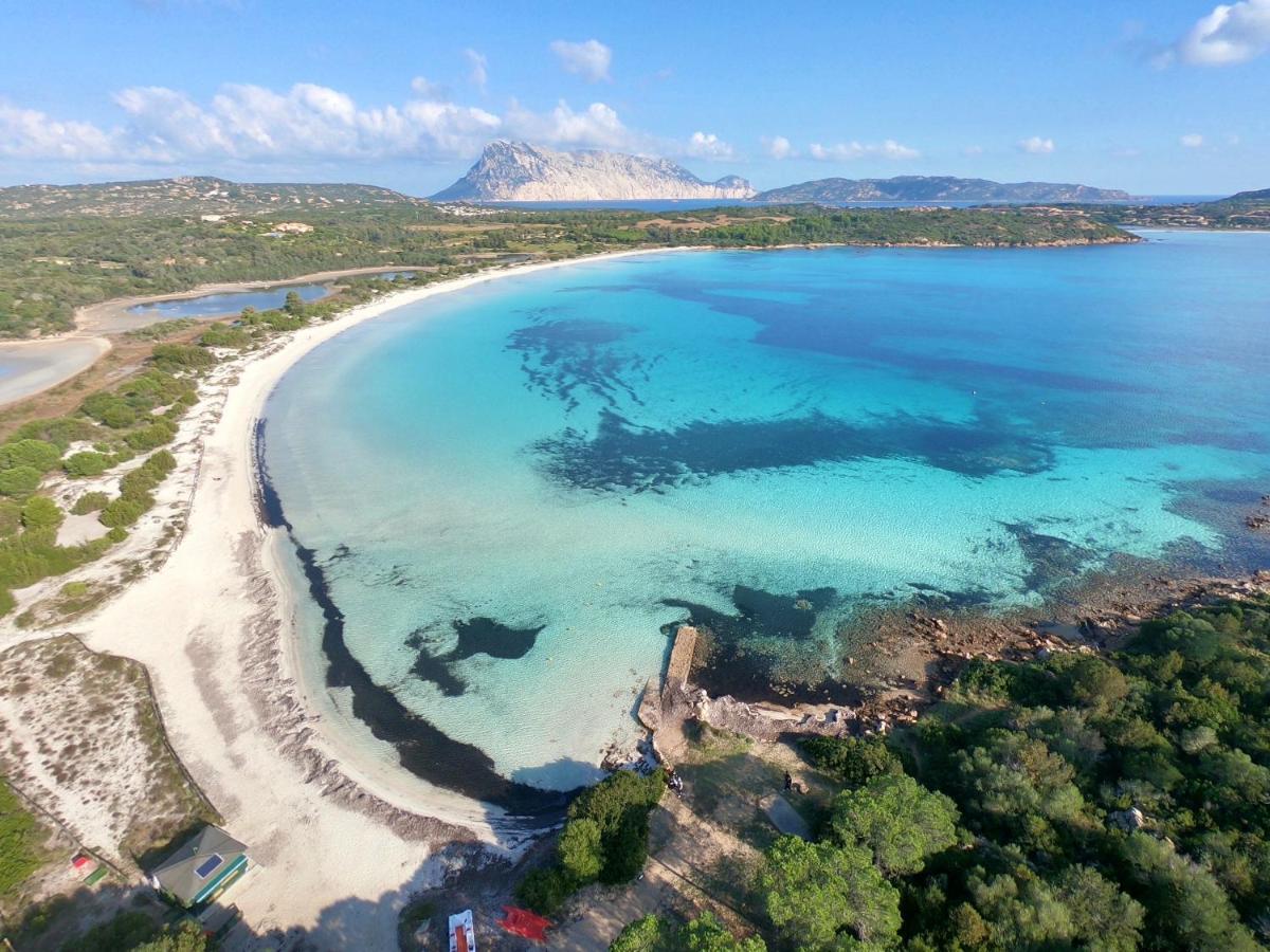 Iss Travel, Citai Panoramic Apartments - 1,5 Km From The Beach Сан-Теодоро Екстер'єр фото